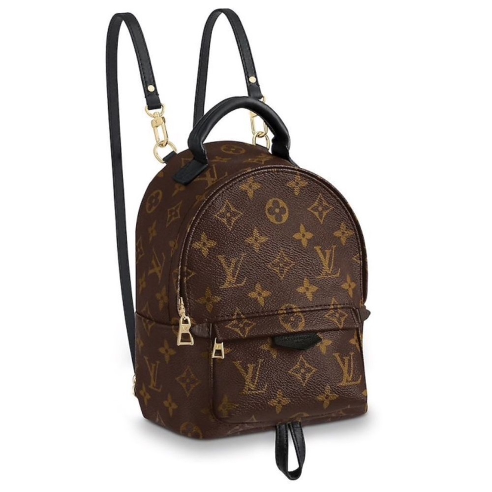Louis Vuitton Palm Springs Mini Brown Monogram Backpack